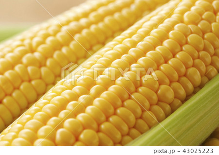 とうもろこし とうもろこし 43025223