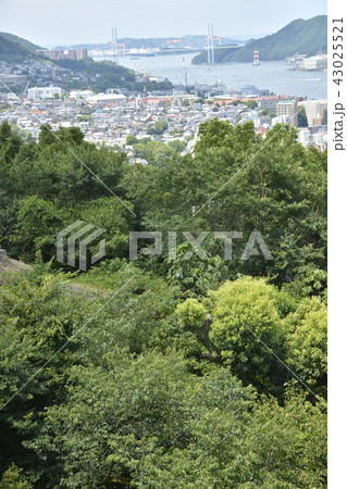 長崎市街地の都市風景 43025521