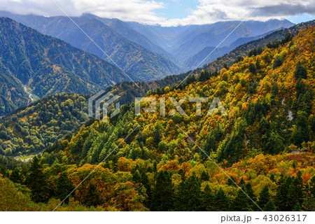 Mountain scenery at autumn in Japan 43026317