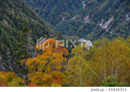 Mountain scenery at autumn in Japan Mountain scenery at autumn in Japan 43026352