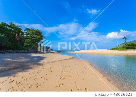 sea water in canal from the sea flow down the sea sea water in canal from the sea flow down the sea 43026622