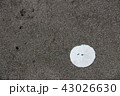 すかしかしぱん 43026630