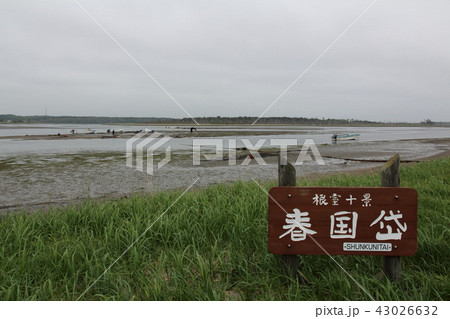 根室 根室 43026632