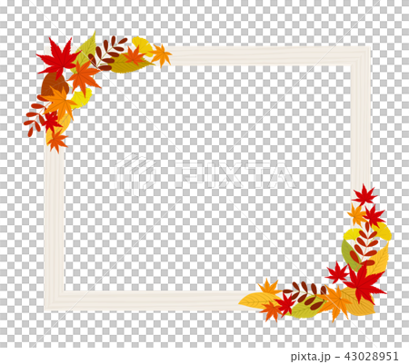 Frame decorated with autumn leaves Frame decorated with autumn leaves 43028951