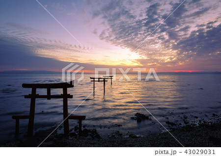 海中鳥居 （太良町） 43029031