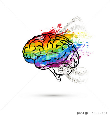 Creative hemisphere of human brain 43029323