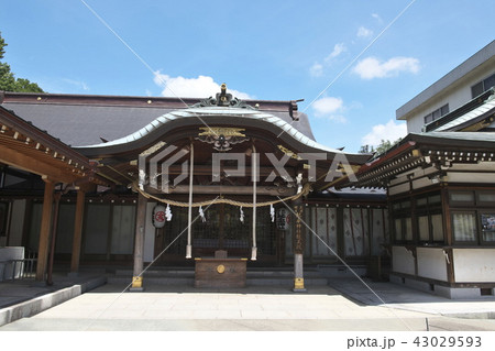 琴平神社 43029593