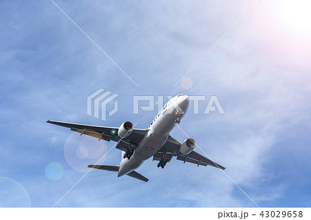 国内線 ターミナル エア エアライン ジャル アナ JAL ANA 格安 機体 ファン 高空 航空 国内線 ターミナル エア エアライン ジャル アナ JAL ANA 格安 機体 ファン 高空 航空 43029658