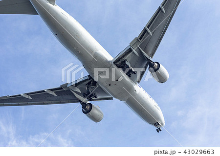 国内線　ターミナル　エア　エアライン　ジャル　アナ　JAL ANA 格安　機体　ファン　高空　航空 43029663