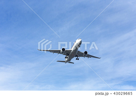国内線 ターミナル エア エアライン ジャル アナ JAL ANA 格安 機体 ファン 高空 航空 国内線 ターミナル エア エアライン ジャル アナ JAL ANA 格安 機体 ファン 高空 航空 43029665