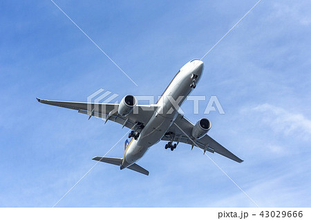国内線　ターミナル　エア　エアライン　ジャル　アナ　JAL ANA 格安　機体　ファン　高空　航空 43029666