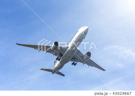 国内線　ターミナル　エア　エアライン　ジャル　アナ　JAL ANA 格安　機体　ファン　高空　航空 43029667