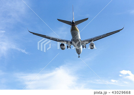 国内線　ターミナル　エア　エアライン　ジャル　アナ　JAL ANA 格安　機体　ファン　高空　航空 43029668