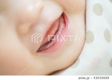乳歯 43030689