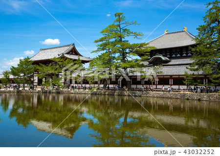 東大寺大仏殿 東大寺大仏殿 43032252