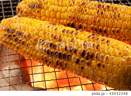 　焼きトウモロコシ 43032348