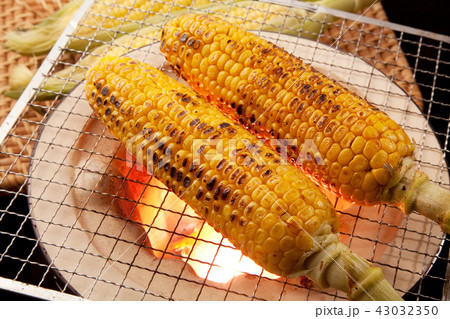 　焼きトウモロコシ 43032350