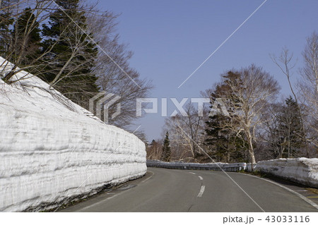 アスピーテライン 八幡平 峠 雪の回廊 雪壁 雪割 アスピーテライン 八幡平 峠 雪の回廊 雪壁 雪割 43033116