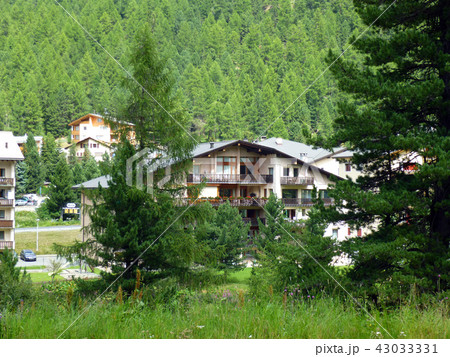 スイスアルプス　ベルニナ急行　スイス　北イタリア 43033331