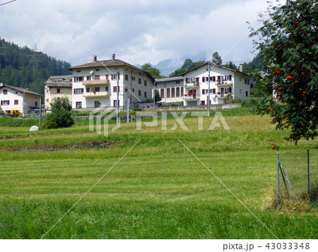 スイスアルプス　ベルニナ急行　スイス　北イタリア 43033348