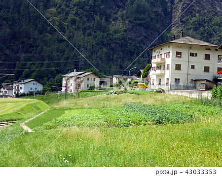 スイスアルプス　ベルニナ急行　スイス　北イタリア 43033353