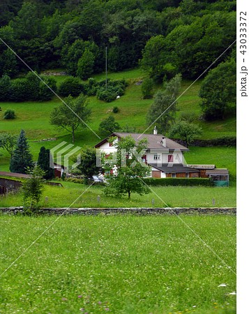 スイスアルプス　ベルニナ急行　スイス　北イタリア 43033372