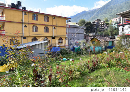 インドのヒマラヤ山岳地帯 マナリーの街並み 住居とホテルと庭 インドのヒマラヤ山岳地帯 マナリーの街並み 住居とホテルと庭 43034142