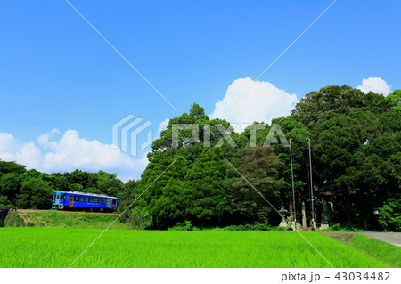 夏の鉄道風景２ 43034482