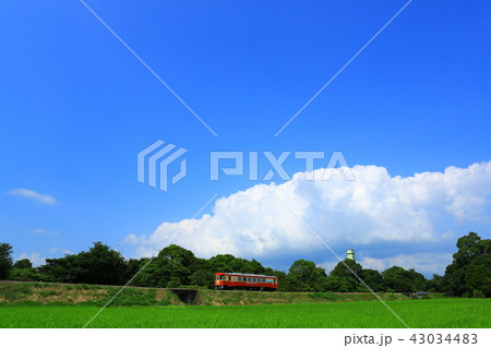 夏の鉄道風景３ 43034483