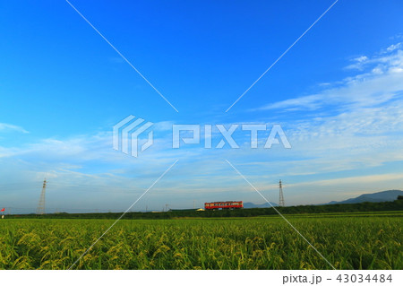 夏の鉄道風景4 夏の鉄道風景4 43034484