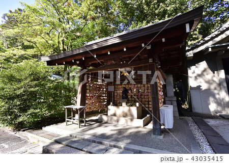岡崎神社　子授けうさぎ（手水舎） 43035415