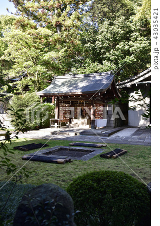 岡崎神社 子授けうさぎ(手水舎) 岡崎神社 子授けうさぎ(手水舎) 43035421