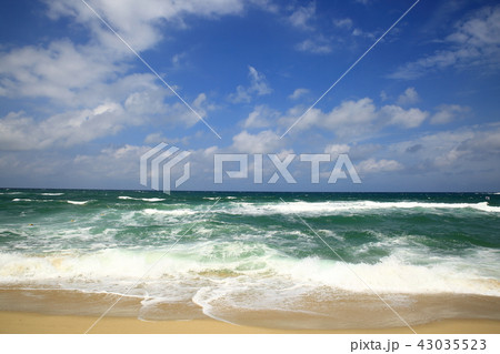 海水浴場 夏 休暇 43035523