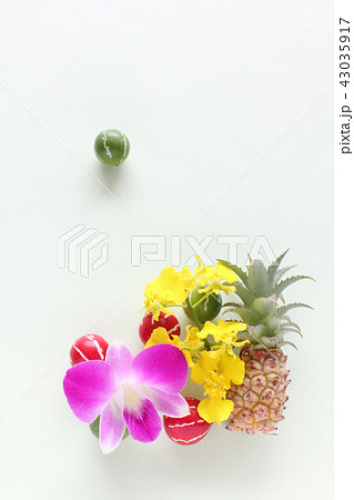 ミニパインとオキナワスズメウリとデンファレとオンシジウムのアレンジ(縦) ミニパインとオキナワスズメウリとデンファレとオンシジウムのアレンジ(縦) 43035917