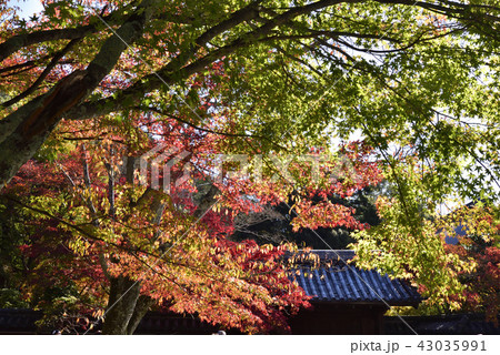 南禅寺塔頭　天授庵 43035991