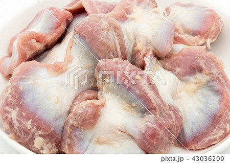 鶏の砂肝(砂嚢):Gizzard 鶏の砂肝(砂嚢):Gizzard 43036209