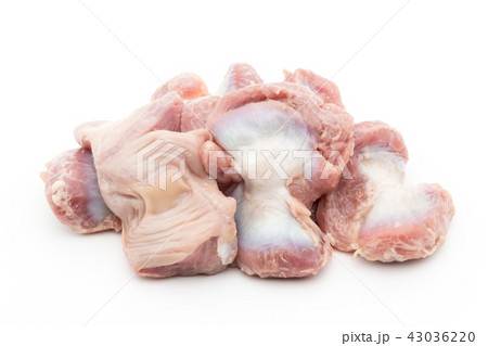 鶏の砂肝（砂嚢）:Gizzard 43036220