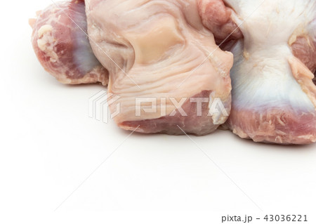 鶏の砂肝（砂嚢）:Gizzard 43036221