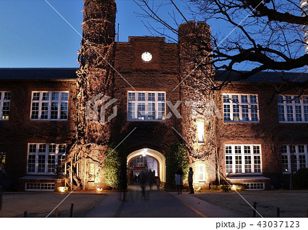 立教大学　本館のライトアップ夜景 43037123