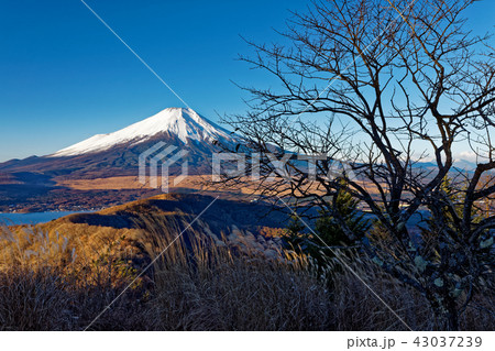 初冬の石割山から見る富士山と山中湖 43037239