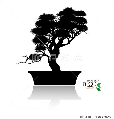 Vector of Bonsai tree. Japanese and Chinese trees. 43037625