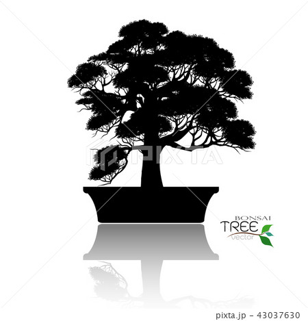 Vector of Bonsai tree. Japanese and Chinese trees. Vector of Bonsai tree. Japanese and Chinese trees. 43037630