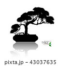 Vector of Bonsai tree. Japanese and Chinese trees. 43037635