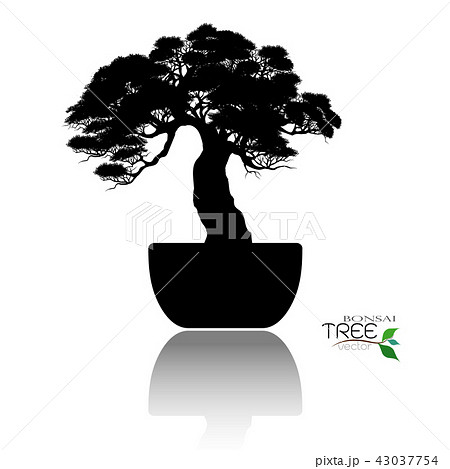 Vector of Bonsai tree. Japanese and Chinese trees. Vector of Bonsai tree. Japanese and Chinese trees. 43037754