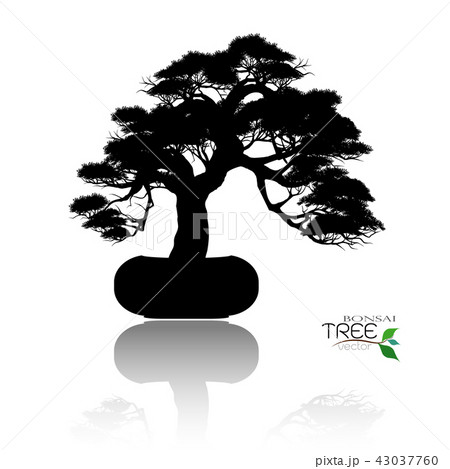Vector of Bonsai tree. Japanese and Chinese trees. 43037760
