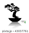 Vector of Bonsai tree. Japanese and Chinese trees. 43037761
