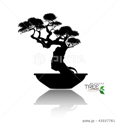 Vector Of Bonsai Tree Japanese And Chinese Trees のイラスト素材 Vector Of Bonsai Tree Japanese And Chinese Trees のイラスト素材