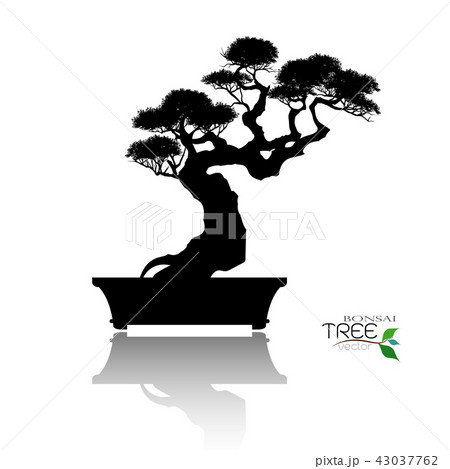 Vector of Bonsai tree. Japanese and Chinese trees. 43037762