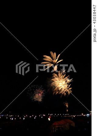 花火 花火 43038447