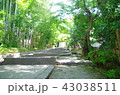 参道 43038511